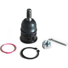 Teknorot Honda Integra Rotil Alt 1990-1993 Arası Uyumlu (51220SB0003)