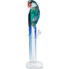 Swarovski 5557849 Swarovski Biblo Jungle Beats:green Macaw