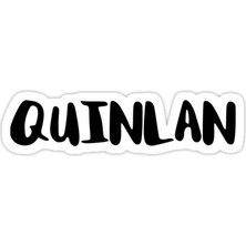 Universal Quinlan Sticker Araba Oto Arma Duvar Sticker Ev Dekoratif Çıkartma 15 cm