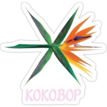 Universal Exo Kokobop Sticker Araba Oto Arma Duvar Sticker Ev Dekoratif Çıkartma 15 cm