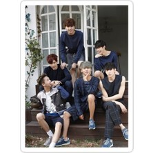 Universal Vixx Sticker Araba Oto Arma Duvar Sticker Ev Dekoratif Çıkartma 15 cm