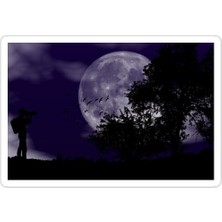 Universal Ay Gece Sticker Araba Oto Arma Duvar Sticker Ev Dekoratif Çıkartma 15 cm