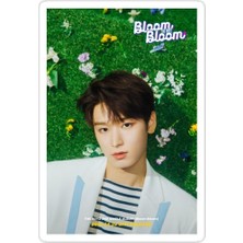 Universal Boyz Juyeon Sticker Araba Oto Arma Duvar Sticker Ev Dekoratif Çıkartma 15 cm