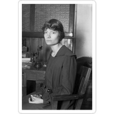 Universal Dorothy Günü Sticker Araba Oto Arma Duvar Sticker Ev Dekoratif Çıkartma 15 cm