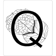 Universal Q Sticker Araba Oto Arma Duvar Sticker Ev Dekoratif Çıkartma 15 cm