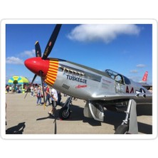 Universal Tuskegee Airmen Sticker Araba Oto Arma Duvar Sticker Ev Dekoratif Çıkartma 15 cm