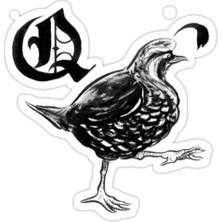 Universal Q Sticker Araba Oto Arma Duvar Sticker Ev Dekoratif Çıkartma 15 cm