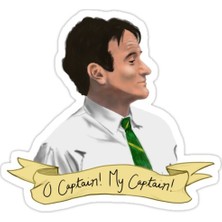 Universal Kaptanın Profil Sticker Araba Oto Arma Duvar Sticker Ev Dekoratif Çıkartma 15 cm