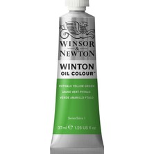 Winsor & Newton Winsor Newton Winton Yağlı Boya 37 ml  N:403 Phthalo Yellow Green