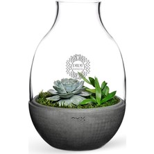 BK Kişiye Özel Eden Terrarium
