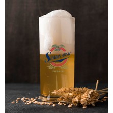 BK Kişiye Özel Bira Logolu Renkli Baskılı Hiball Bira Bardağı-7