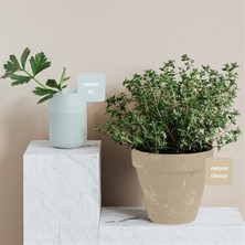 Whynot Natural Choice Multisurface Kendinden Vernikli Akrilik Boya