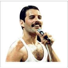 Sticker Fabrikası Fredy Mercury Sticker 00802