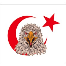 Sticker Fabrikası Kartal Türk Bayrağı Ay Yıldız Sticker 00946