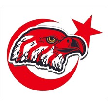 Sticker Fabrikası Kartal Türk Bayrağı Ay Yıldız Sticker 00947