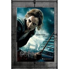 Wizarding World Deathly Hallows Hermione 37764