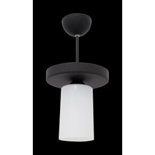 D-Light Sultan Plastik Tekli Avize
