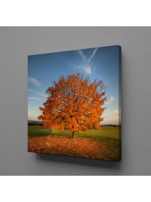 Technopa Yaprakları Dökülen Ağaç 80 x 80 cm