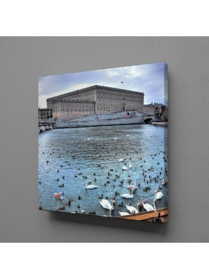 Technopa Kuğular 70 x 70 cm