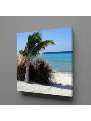 Technopa Palmiye Ağacı Kumsalda 30 x 30 cm