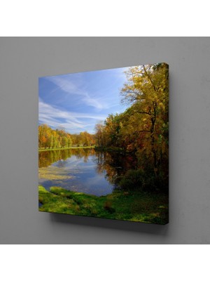 Technopa Yeşilin Büyüsü 40 x 40 cm