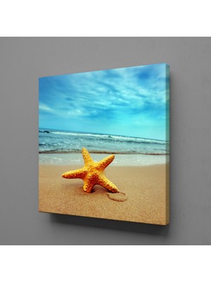 Technopa Kumsalda Deniz Yıldızı 170 x 170 cm