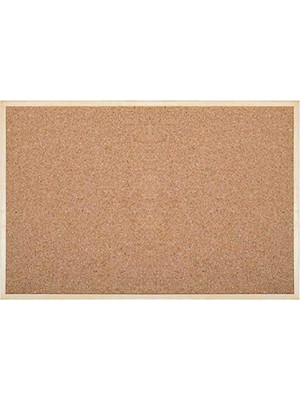 Noki Inter Mantar Pano Ahşap Çerçeve 60X90