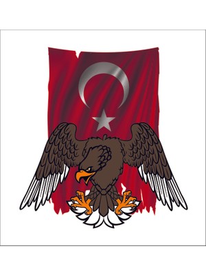 Sticker Fabrikası Kartal Türk Bayrağı Ay Yıldız Sticker 00942