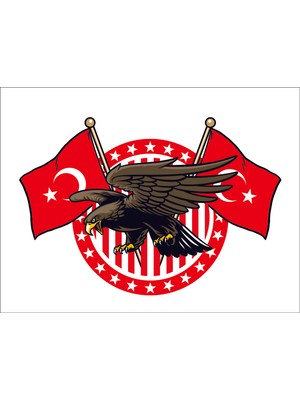 Sticker Fabrikası Kartal Türk Bayrağı Ay Yıldız Sticker 00943