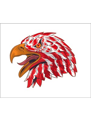 Sticker Fabrikası Kartal Türk Bayrağı Ay Yıldız Sticker 00945