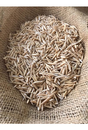 Yulaf Tohumlar Modelleri Ve Fiyatlari Satin Al