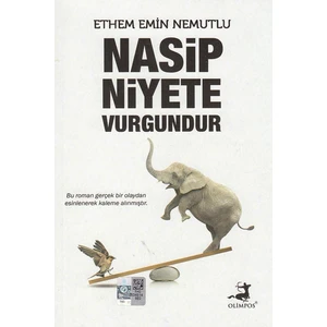 Nasip Niyete Vurgundur - Ethem Emin Nemutlu