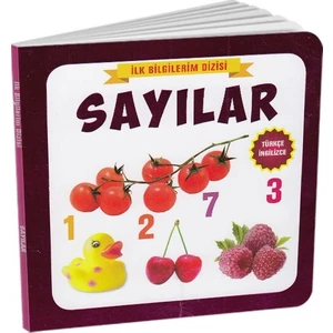 Tiny Kids Türkçe - Ingilizce Ilk Bilgilerim Dizisi - Sayılar