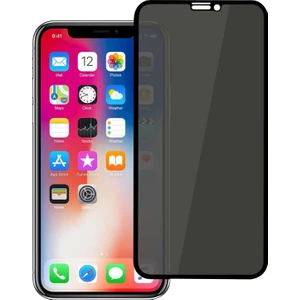 Apple iPhone 12 / 12 Pro Hayalet Privacy Gizli Cam Ekran Koruyucu Siyah