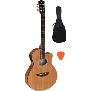 AGX290 Ns Elektro Akustik Gitar