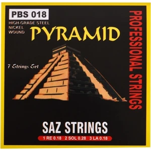 PBS18 Kısa Sap Saz Teli 018