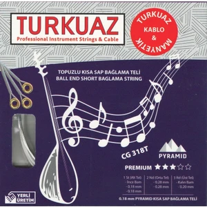Cg 318T 0.18 mm Topuzlu Pyramid + Ipek Bamlı Takım Tel Kısa Sap Bağlama Teli 018