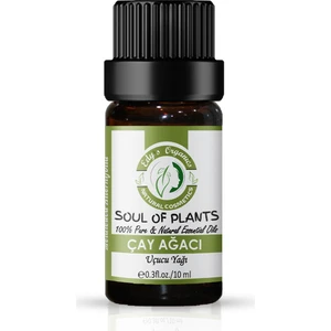 Edy's Organics Çay Ağacı(Hint Defnesi) Yağı