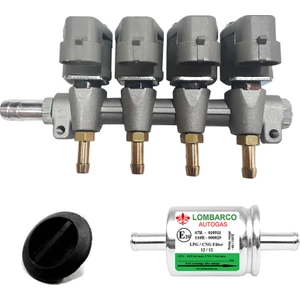 Otogaz Enjektör 2ohm Vikars