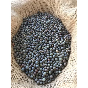 Bahar Tarım Macar Fiğ Tohumu 10 kg