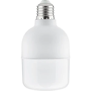 10'lu Paket 20WATT Torch LED Ampül