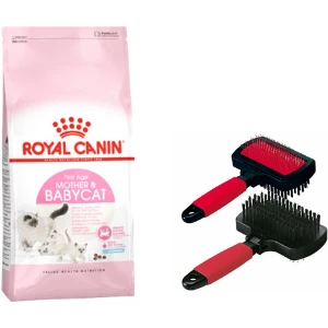 Royal Canın Mother & Babycat 2 kg + Polo Çift Taraflı Tarak