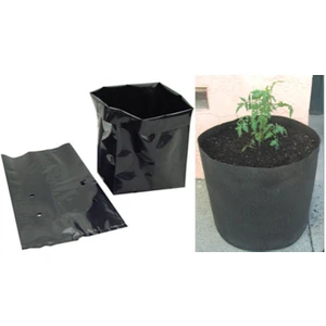 10X20 Fide Poşeti 1kg