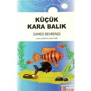Küçük Kara Balık - Samed Behrengi