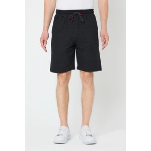 Erkek Siyah Regular Fit Şort & Bermuda