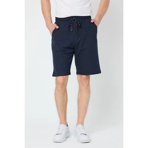 Erkek Lacivert Regular Fit Şort & Bermuda