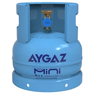 Mini Vanalı Karavan Tüpü