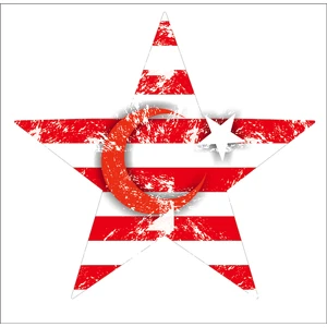 Sticker Fabrikası Yıldızlı Türk Bayrağı Sticker 00923