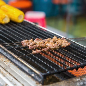 Mangal Barbekü Örtüsü Teflon Örgü 5’li 60X43 cm