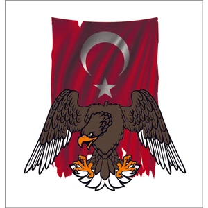 Sticker Fabrikası Kartal Türk Bayrağı Ay Yıldız Sticker 00942